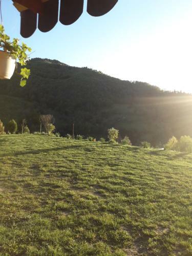 Hostal Casa Cu Muscate