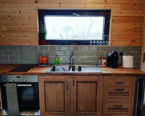 Panoramic Cabin St�nceni