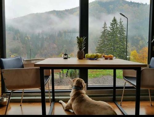 Panoramic Cabin St�nceni