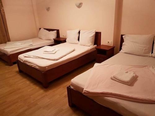Hotel Pensiunea Balea