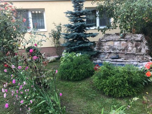 Hostal Casa Todea
