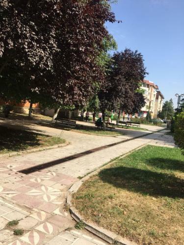 Apartamento Cozy Park Studio In City Center, Campina