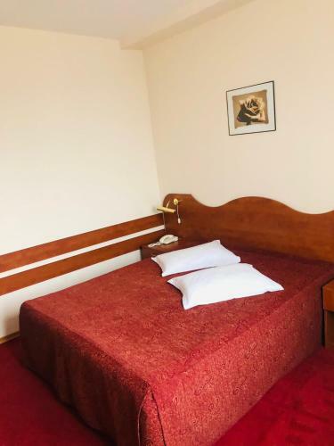 Hotel Muntenia