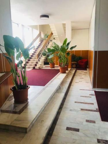 Hotel Muntenia
