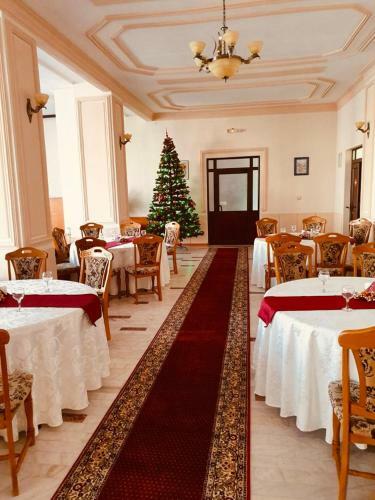Hotel Muntenia