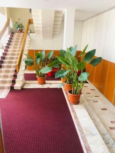 Hotel Muntenia