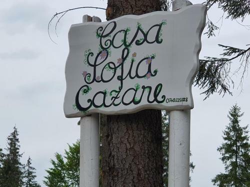 Hostal Casa Sofia Bucovina
