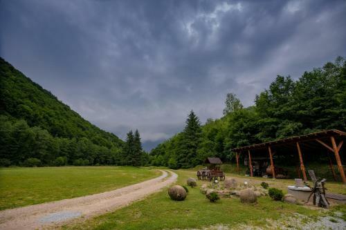 Hanul Morii - Pool, Sauna And Jacuzzi