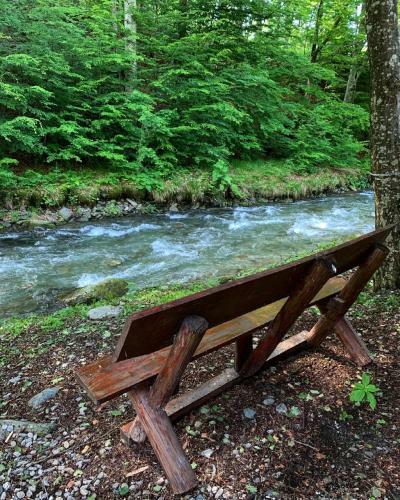 Hostal Pensiunea P?str?vul