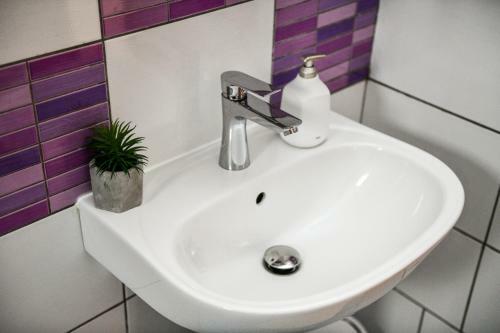 Hostal Pensiunea Bradet