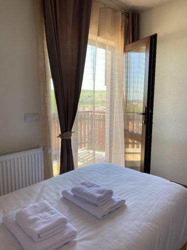 Hostal Pensiunea Eden