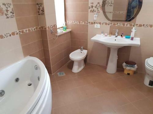 Hostal Vila Grecu