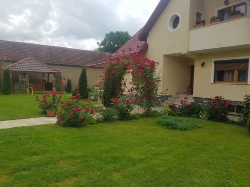 Hostal Vila Grecu