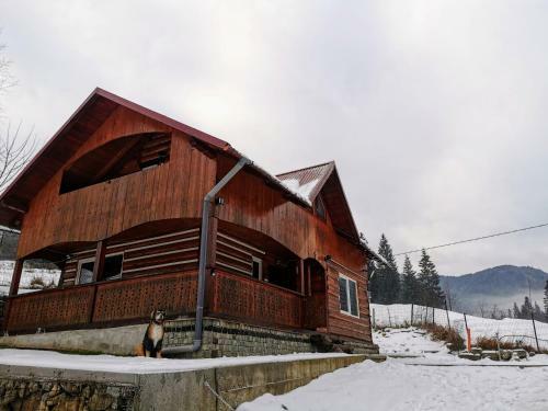 Lodge C?su?a Din P?dure