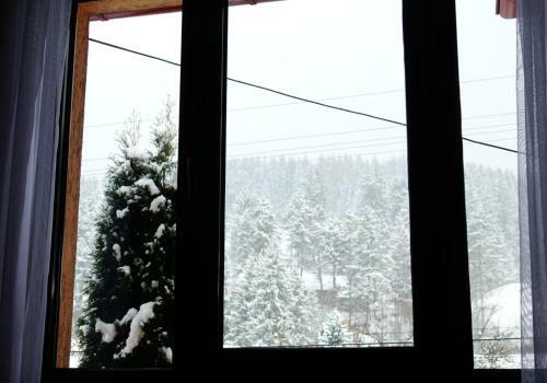 Classic Villa Bucovina