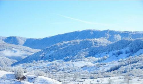 Classic Villa Bucovina