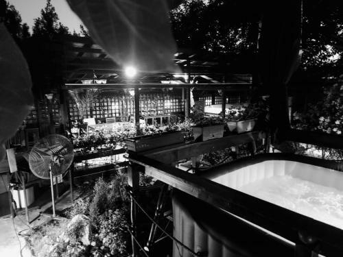 Lodge Vila Ralf