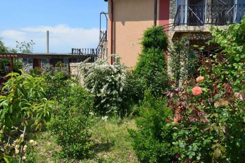 Hostal Pensiunea Carmen