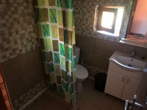 Hostal Pensiunea Cosmin