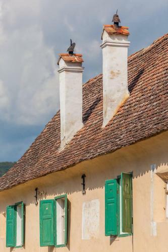 Experience Transylvania Cri? 217