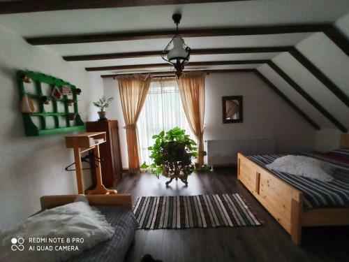 Hostal Casa Lucia