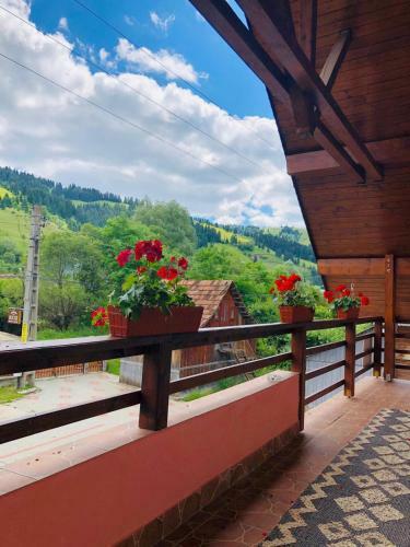 Hostal Pensiunea Bucur