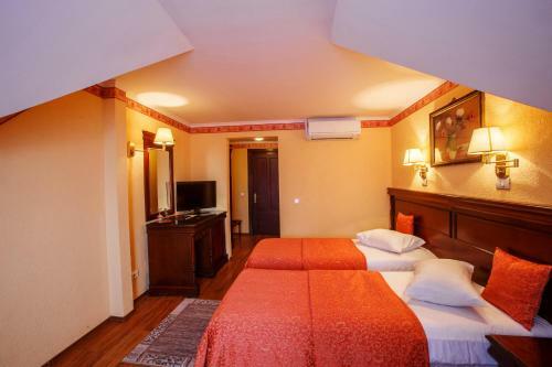 Hostal Domeniul Dracula Dane?