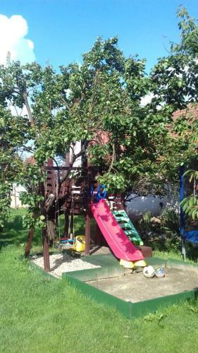 Grandpas' House (casa Bunicilor)