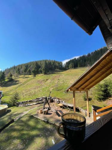 Hostal Pensiunea Dream