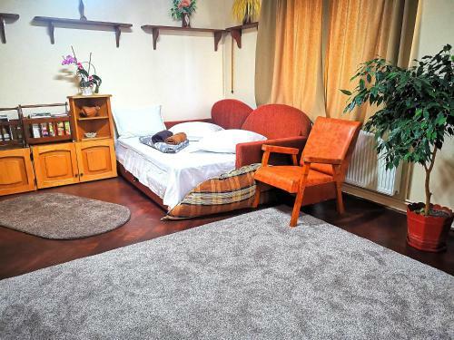 Villa Casa Petrescu