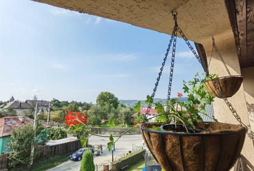 Hostal Casa Sima