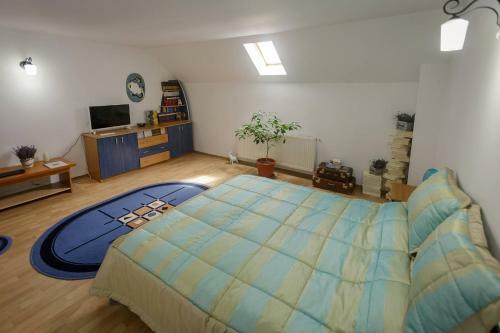 Hostal Casa Florilor
