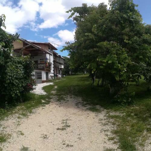Hostal Victoriei 35b