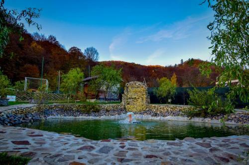 Lodge Green Property