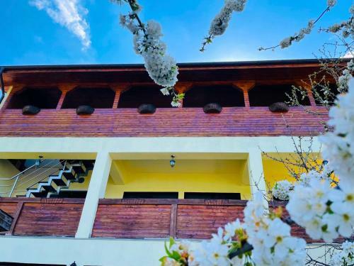 Hostal Casa Camelia
