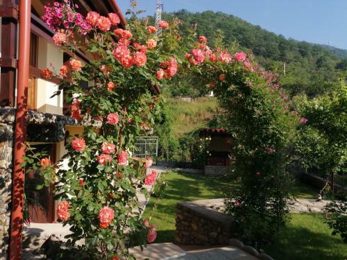 Agroturismo Casa Nirvana