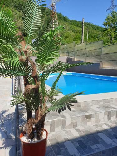 Hostal Vila Donau