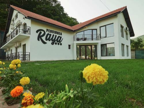 Hostal Pensiunea Raya