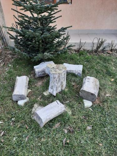 Apartamento D.d Alexandru
