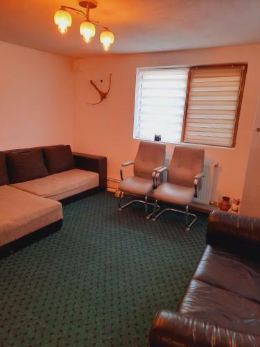 Apartamento D.d Alexandru