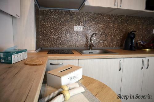 Apartament Ultracentral 2