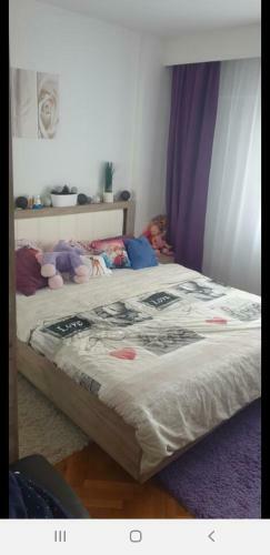Sofi Apartament