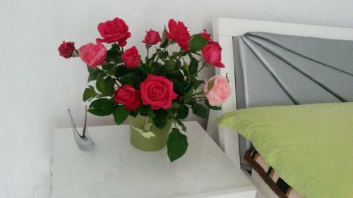 Apartament Adriana