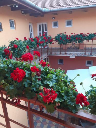 Hostal Casa Leucian