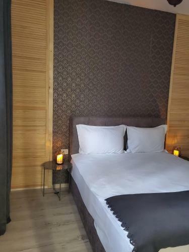 Hostal Hanu Lu Mos Opinca