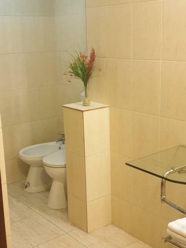 Hostal Hanu Lu Mos Opinca
