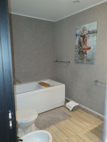 Hostal Hanu Lu Mos Opinca