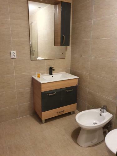 Hostal Hanu Lu Mos Opinca