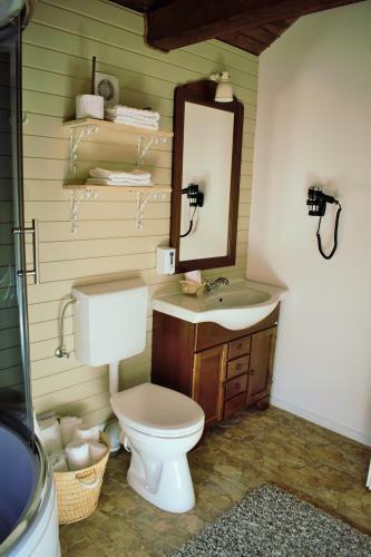 Hostal Hanu Lu Mos Opinca
