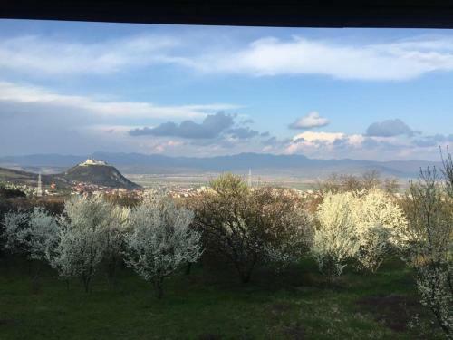 Hostal Hanu Lu Mos Opinca